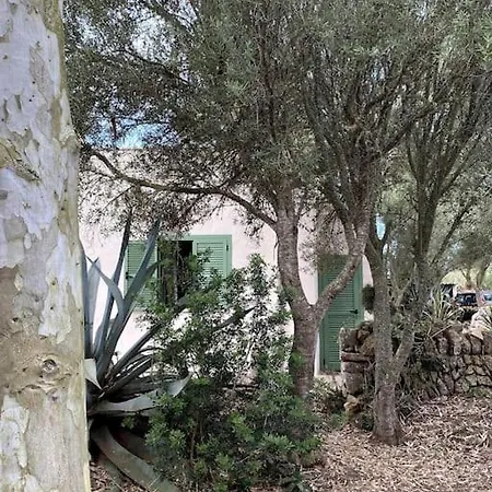 Casa Farah *