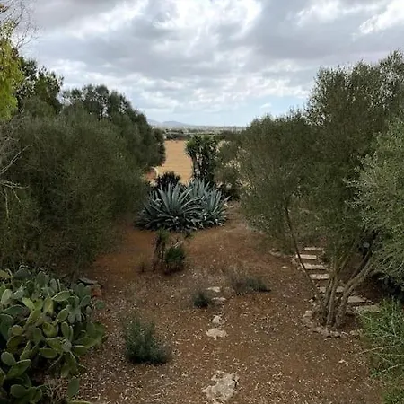 Holiday home Casa Farah Ses Salines (Mallorca)