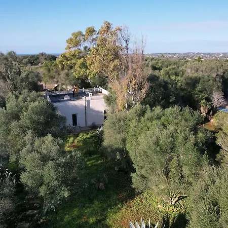 Casa Farah * Ses Salines (Mallorca)