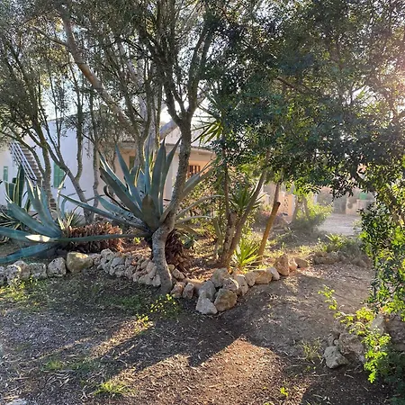 Casa Farah
