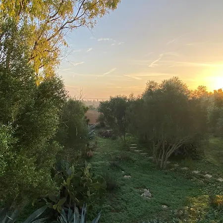Holiday home Casa Farah