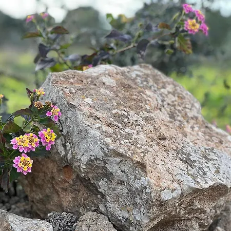 Casa Farah Ses Salines (Mallorca)